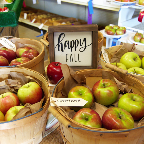 Apple Happy Camper Candy Fabric & Room Spray