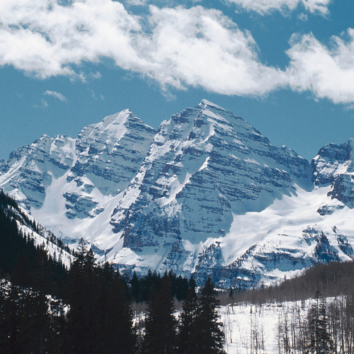 Aspen Winter