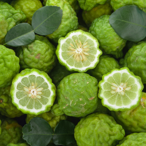 Bergamot Foaming Hand Soap