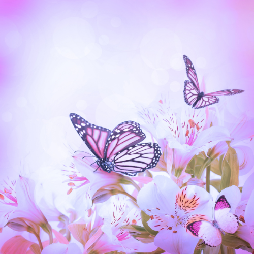 Butterfly Flower