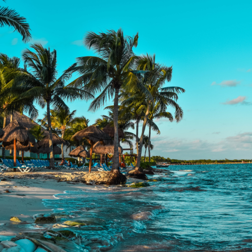 Caribbean Foaming Hand Soap