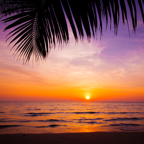 Caribbean Sunset Foaming Hand Soap