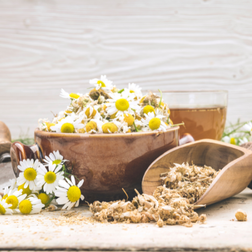 Chamomile