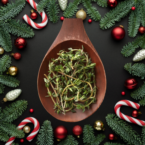 Christmas Thyme