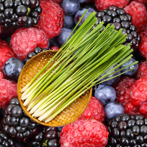 Citronella Berry