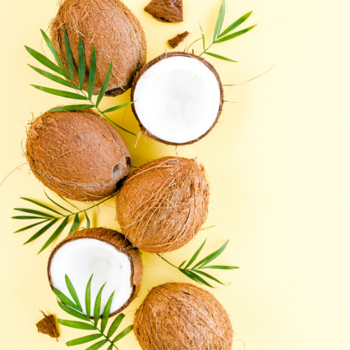 Coconut Foaming Hand Soap