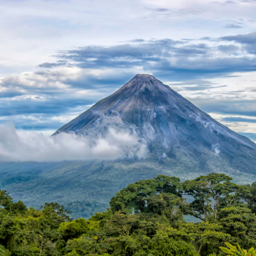 Costa Rican Rainforest