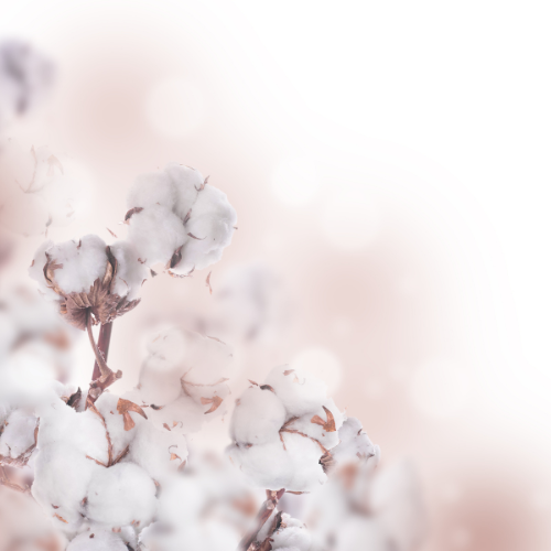 Cotton & Blossoms Fabric & Room Spray