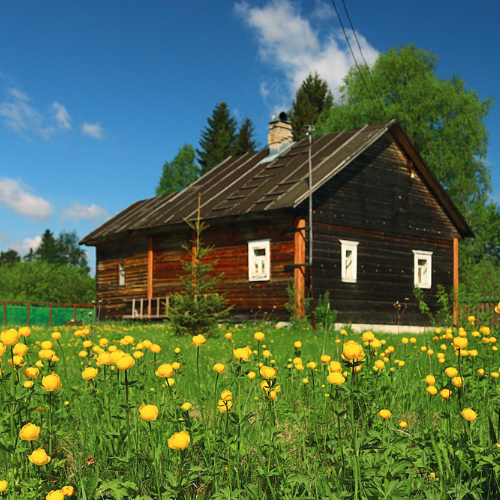 Country Home