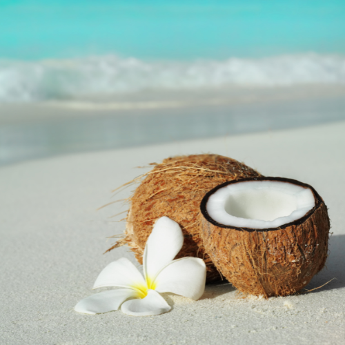 Exotic Coconut