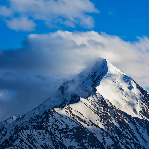 Frosted Peak Tops