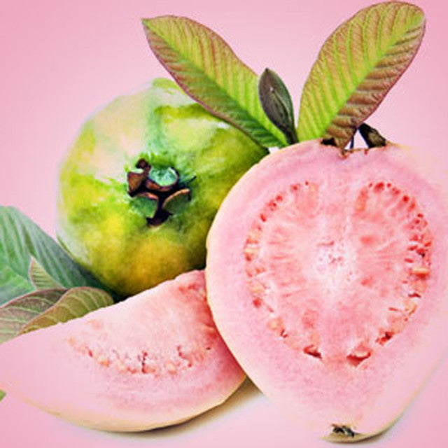 Guava