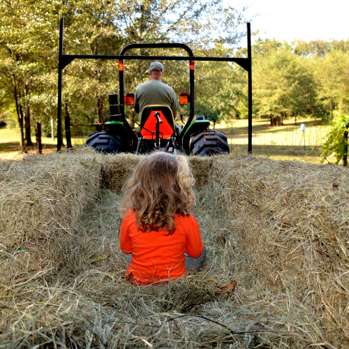 Hayride