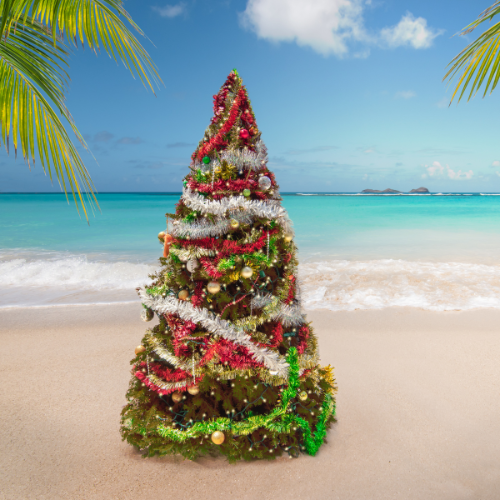 Island Christmas