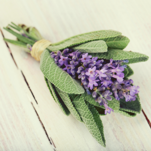 Lavender Sage