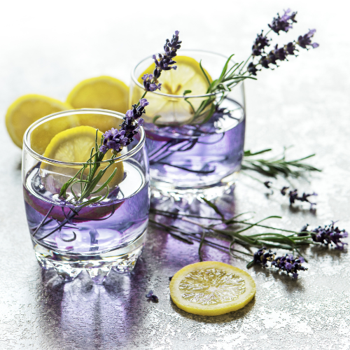 Lemon Lavender Type