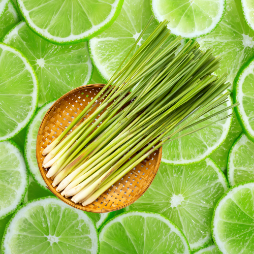 Citronella Lime