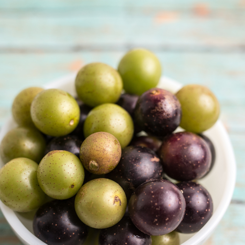 Muscadine Car Air Freshener