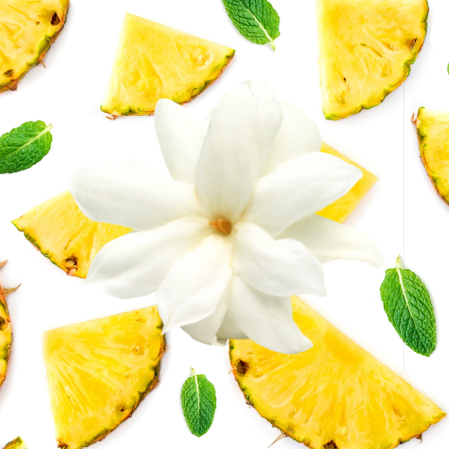 Pineapple Jasmine Tart Wax Melts