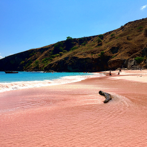 Pink Beaches