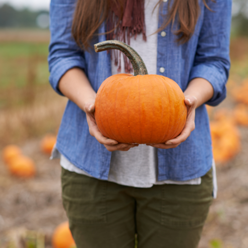 Pumpkin Perfect Soy Candle