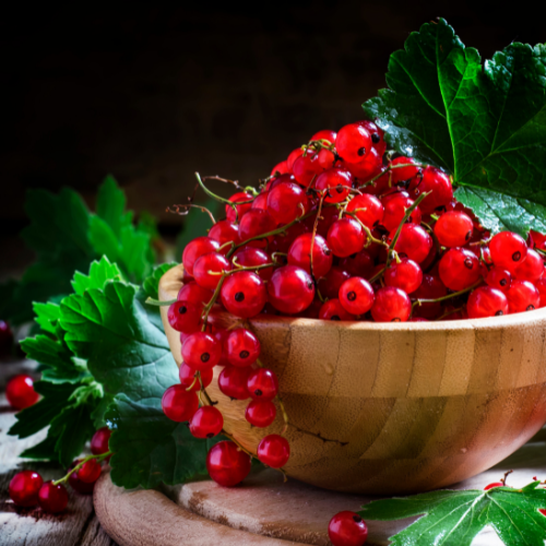 Red Currant & Ivy