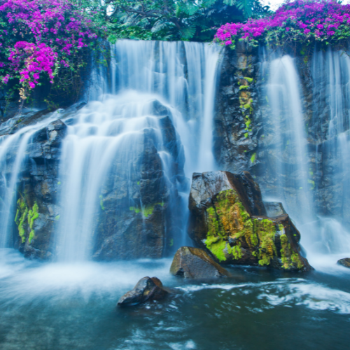 Tahitian Waterfalls