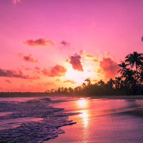 Tropical Sunrise Tart Wax Melts