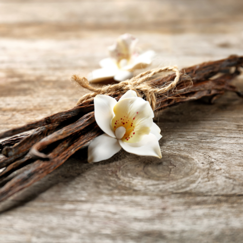 Vanilla Blossoms