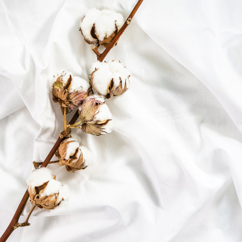 Vanilla Cotton Foaming Hand Soap