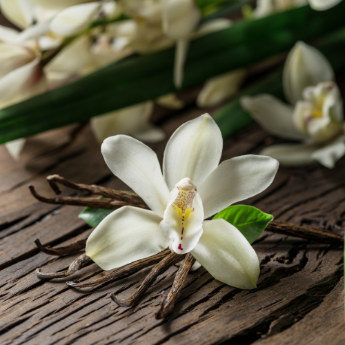 Vanilla SPECTACULAR Foaming Hand Soap