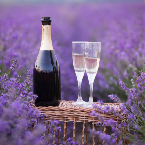 Lavender Champagne