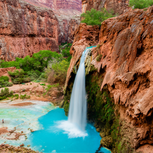 Tranquil Oasis