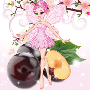 Dance of the Sugar Plum Fairy Car Air Freshener